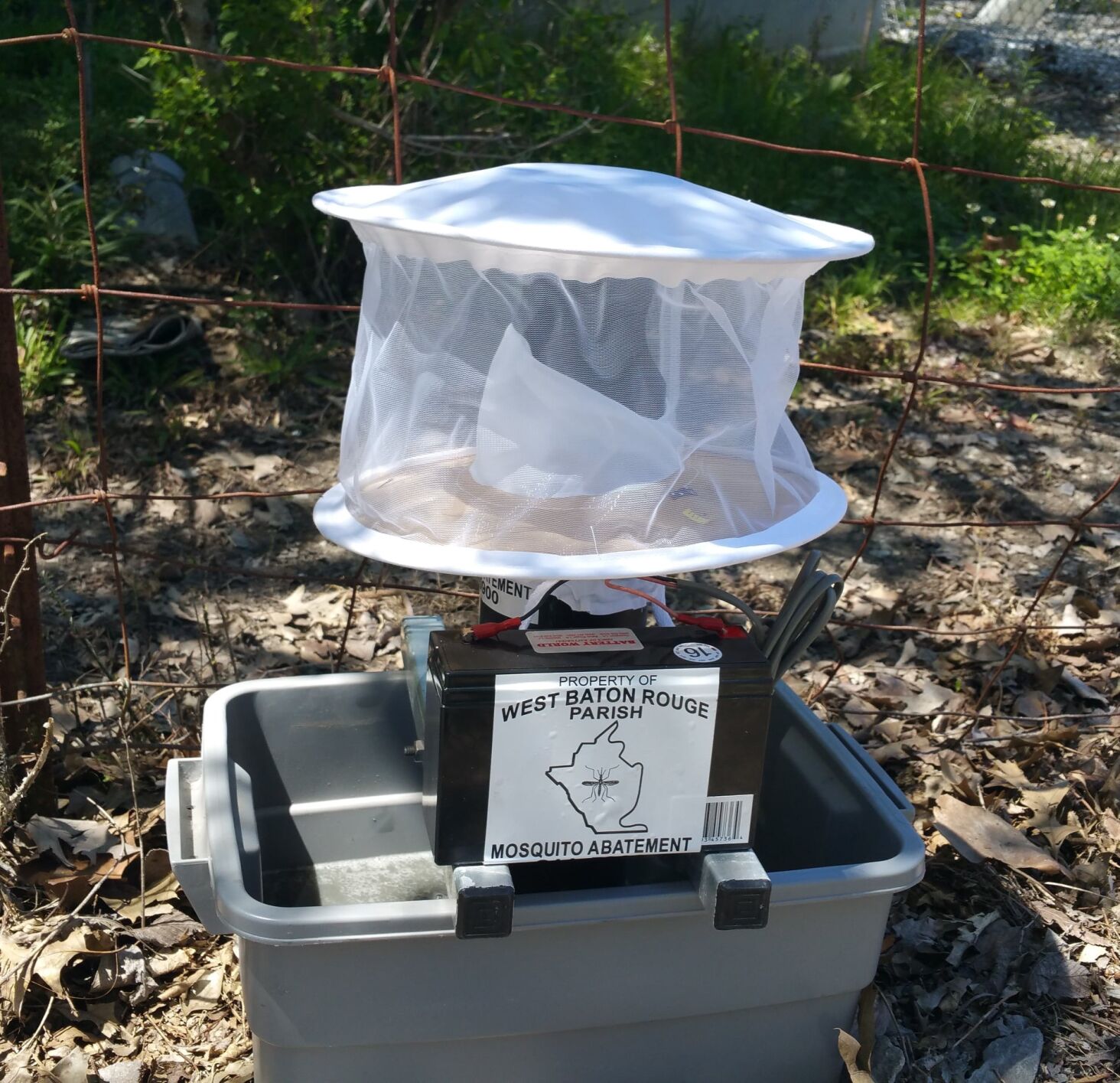 Mosquito Trap